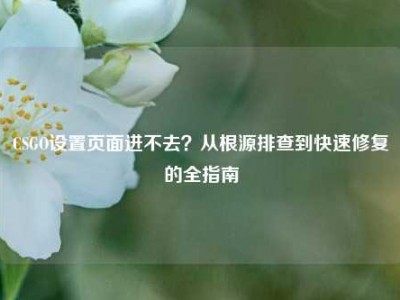 CSGO设置页面进不去？从根源排查到快速修复的全指南