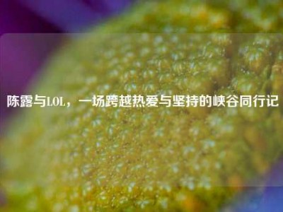 陈露与LOL，一场跨越热爱与坚持的峡谷同行记
