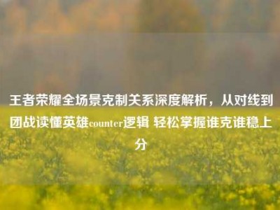 王者荣耀全场景克制关系深度解析，从对线到团战读懂英雄counter逻辑 轻松掌握谁克谁稳上分