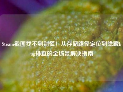 Steam截图找不到别慌！从存储路径定位到隐藏bug排查的全场景解决指南