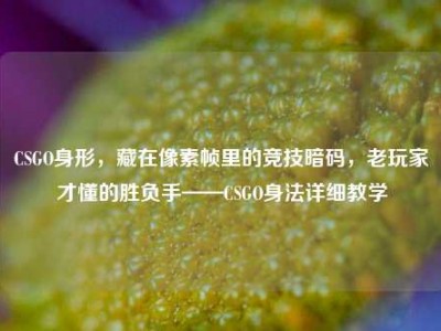 CSGO身形，藏在像素帧里的竞技暗码，老玩家才懂的胜负手——CSGO身法详细教学