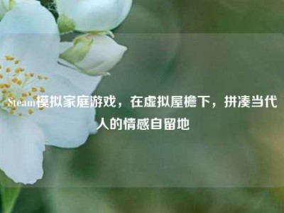 Steam模拟家庭游戏，在虚拟屋檐下，拼凑当代人的情感自留地