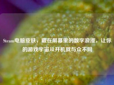 Steam电脑皮肤，藏在屏幕里的数字浪漫，让你的游戏宇宙从开机就与众不同