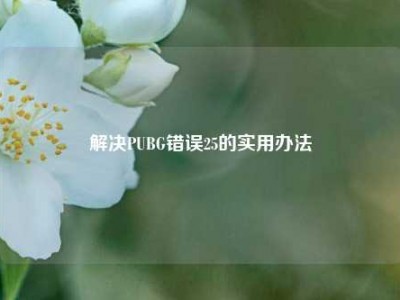 解决PUBG错误25的实用办法