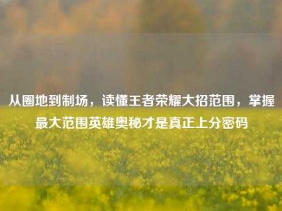 从圈地到制场，读懂王者荣耀大招范围，掌握最大范围英雄奥秘才是真正上分密码