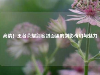 高清！王者荣耀剑客封面里的剑影奇幻与魅力