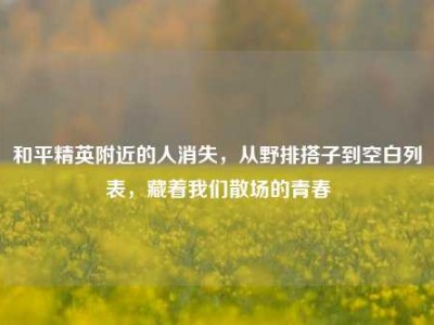 和平精英附近的人消失，从野排搭子到空白列表，藏着我们散场的青春