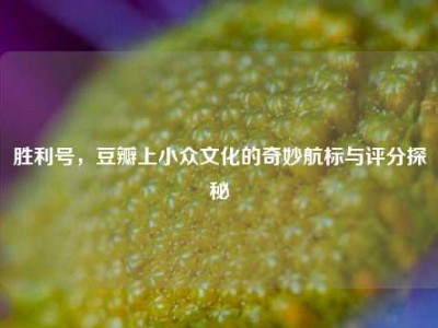 胜利号，豆瓣上小众文化的奇妙航标与评分探秘