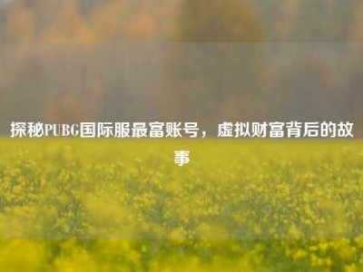 探秘PUBG国际服最富账号，虚拟财富背后的故事