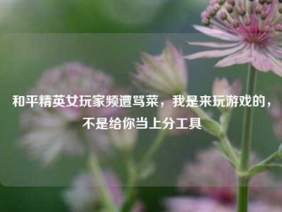 和平精英女玩家频遭骂菜，我是来玩游戏的，不是给你当上分工具