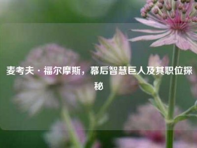 麦考夫·福尔摩斯，幕后智慧巨人及其职位探秘
