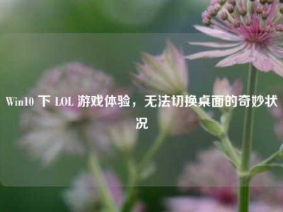 Win10 下 LOL 游戏体验，无法切换桌面的奇妙状况