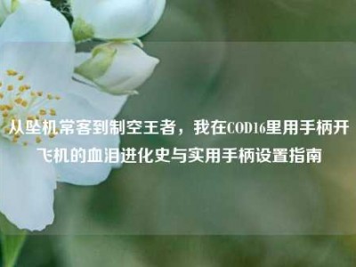 从坠机常客到制空王者，我在COD16里用手柄开飞机的血泪进化史与实用手柄设置指南