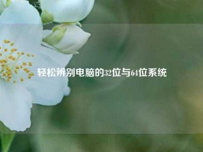 轻松辨别电脑的32位与64位系统