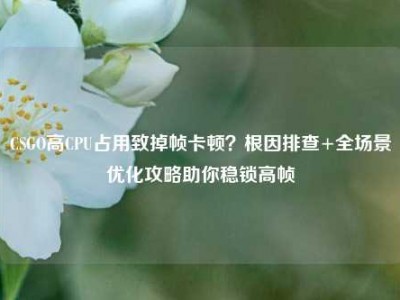 CSGO高CPU占用致掉帧卡顿？根因排查+全场景优化攻略助你稳锁高帧