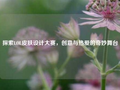 探索LOL皮肤设计大赛，创意与热爱的奇妙舞台