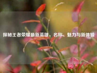 探秘王者荣耀最新英雄，名称、魅力与新体验