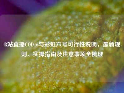 B站直播COD16与彩虹六号可行性说明，最新规则、实操指南及注意事项全梳理