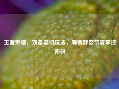 王者荣耀，刘备黑切玩法，解锁野区节奏掌控密码