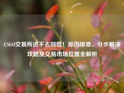 CSGO交易所进不去别慌！原因排查、分步解决攻略及交易市场位置全解析