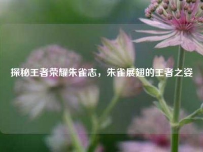 探秘王者荣耀朱雀志，朱雀展翅的王者之姿