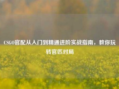 CSGO官配从入门到精通进阶实战指南，教你玩转官匹对局