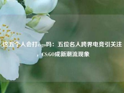 这五个人会打csgo吗：五位名人跨界电竞引关注，CS:GO成新潮流现象