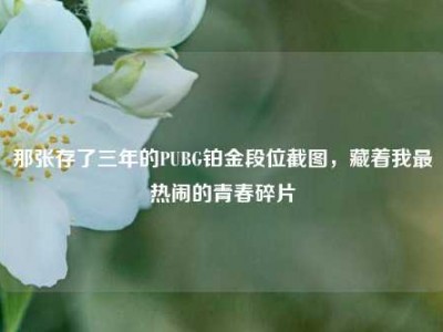 那张存了三年的PUBG铂金段位截图，藏着我最热闹的青春碎片