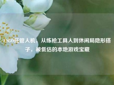 CSGO托管人机，从练枪工具人到休闲局隐形搭子，被低估的本地游戏宝藏