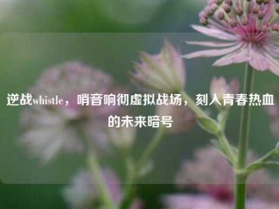 逆战whistle，哨音响彻虚拟战场，刻入青春热血的未来暗号