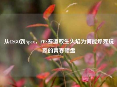 从CSGO到Apex，FPS赛道双生火焰为何能焊死玩家的青春硬盘
