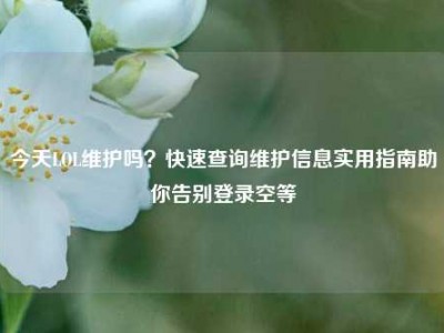今天LOL维护吗？快速查询维护信息实用指南助你告别登录空等