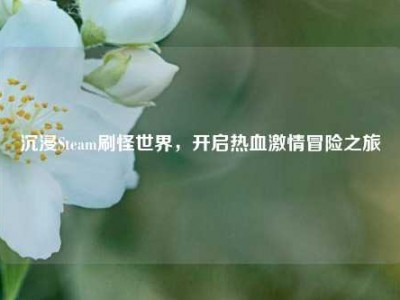 沉浸Steam刷怪世界，开启热血激情冒险之旅