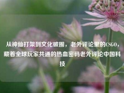 从神仙打架到文化破圈，老外评论里的CSGO，藏着全球玩家共通的热血密码老外评论中国科技
