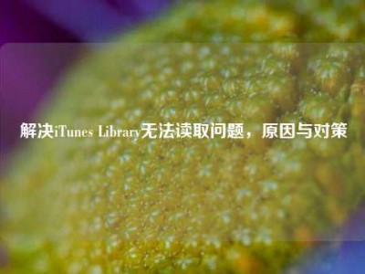 解决iTunes Library无法读取问题，原因与对策