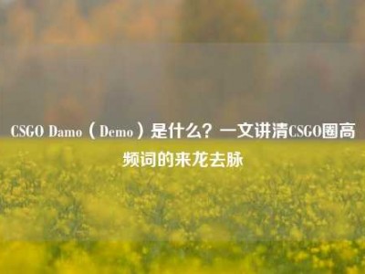 CSGO Damo（Demo）是什么？一文讲清CSGO圈高频词的来龙去脉