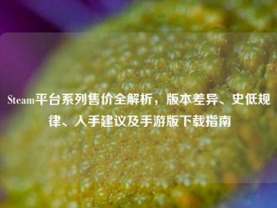Steam平台系列售价全解析，版本差异、史低规律、入手建议及手游版下载指南