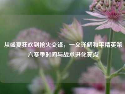从盛夏狂欢到枪火交锋，一文详解和平精英第六赛季时间与战术进化亮点