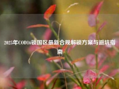 2025年COD16锁国区最新合规解锁方案与避坑指南