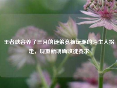 王者峡谷养了三月的徒弟竟被玩瑶的陌生人拐走，现重新明确收徒要求