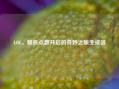 LOL，随机点数开启的奇妙之旅生成器