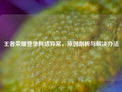王者荣耀登录网络异常，原因剖析与解决办法