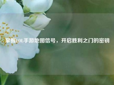 掌握LOL手游地图信号，开启胜利之门的密钥