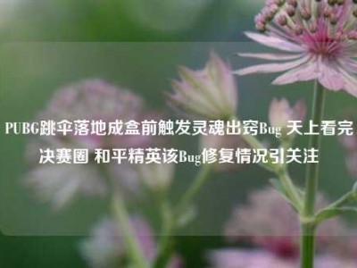 PUBG跳伞落地成盒前触发灵魂出窍Bug 天上看完决赛圈 和平精英该Bug修复情况引关注