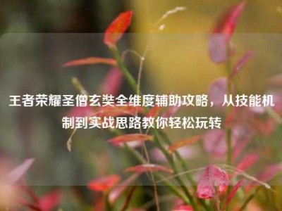 王者荣耀圣僧玄奘全维度辅助攻略，从技能机制到实战思路教你轻松玩转