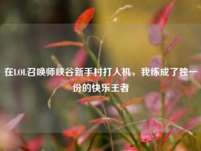 在LOL召唤师峡谷新手村打人机，我练成了独一份的快乐王者
