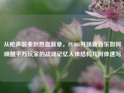 从枪声前奏到热血新章，PUBG开场新音乐如何唤醒千万玩家的战场记忆人体结构几何体速写
