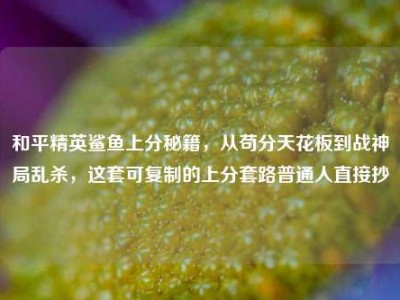 和平精英鲨鱼上分秘籍，从苟分天花板到战神局乱杀，这套可复制的上分套路普通人直接抄