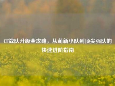 CF战队升级全攻略，从萌新小队到顶尖强队的快速进阶指南