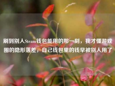 刷到别人Steam钱包能用的那一刻，我才懂游戏圈的隐形落差，自己钱包里的钱早被别人用了